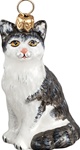 American Shorthair Cat Gray and White