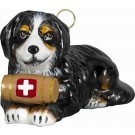 Bernese Mountain Dog with Swiss Bandana