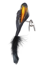 Toucan (Bird)