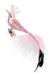 Crazy (Bird)
