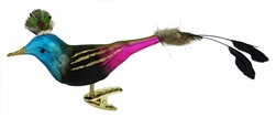 Funky (Bird)