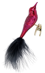 Glammy (Bird)