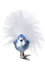 Blue Birdie