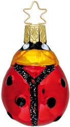 Lucky Lady Bug