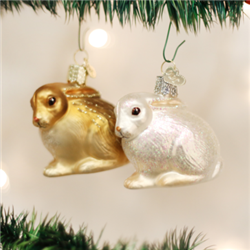 Cottontail Bunny (a)