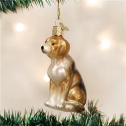 Beagle