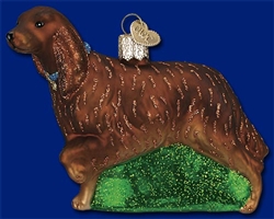 Irish Setter