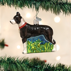 Great Dane