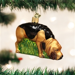 Bloodhound