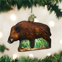 Wild Boar