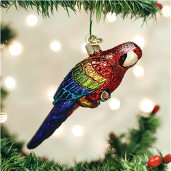 Tropical Parrot