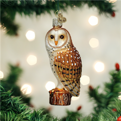 Barn Owl
