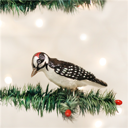 Hairy Woodpecker
