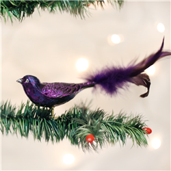 Purple Martin