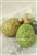 Medium Egg Trio/Arctic Warbler, Green Speckled