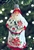 Darlington Claus